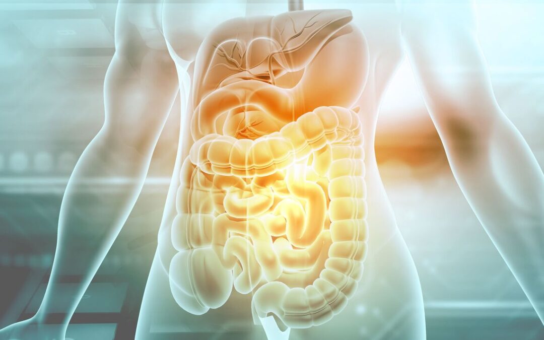 Can Your Gut Influence Parkinson’s Disease?