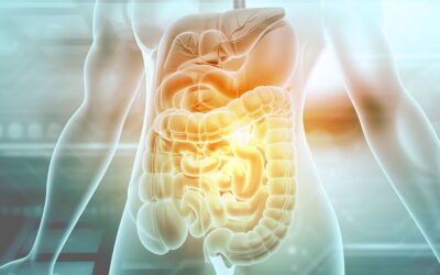 Can Your Gut Influence Parkinson’s Disease?