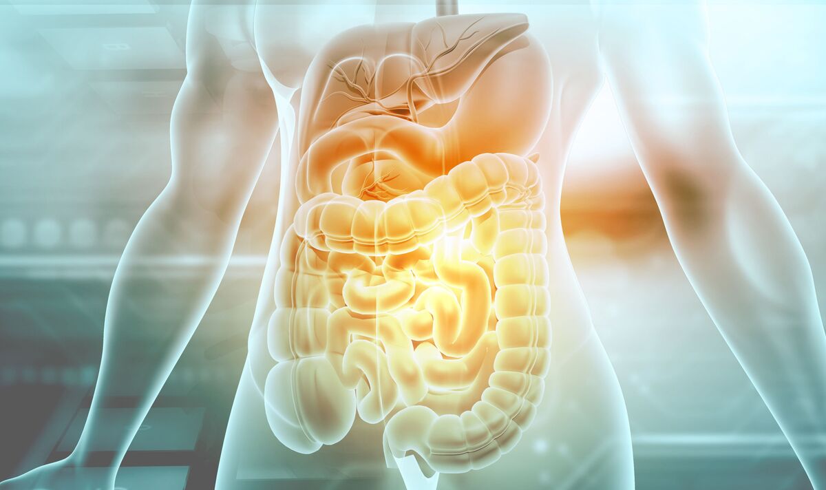 gut health | Parkinsons gut health