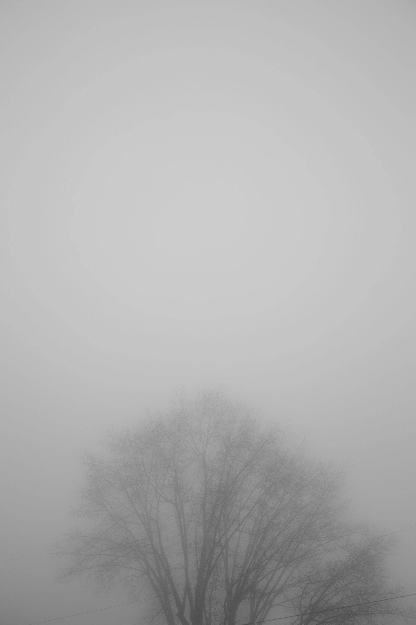 why do i have brain fog